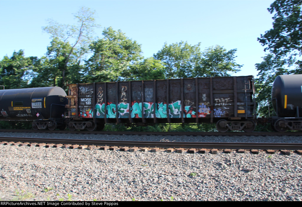 MORX 123